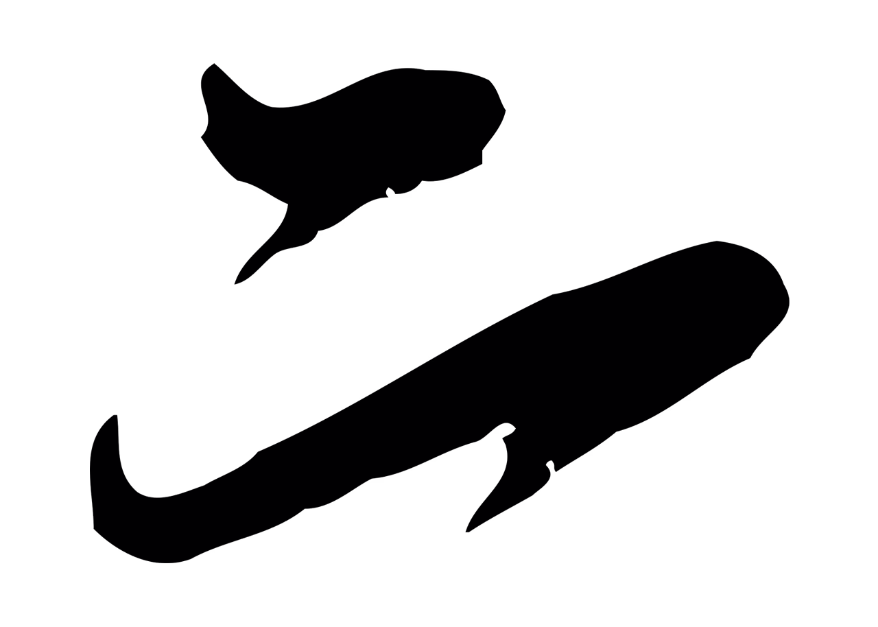 苏轼「二」字书法图片