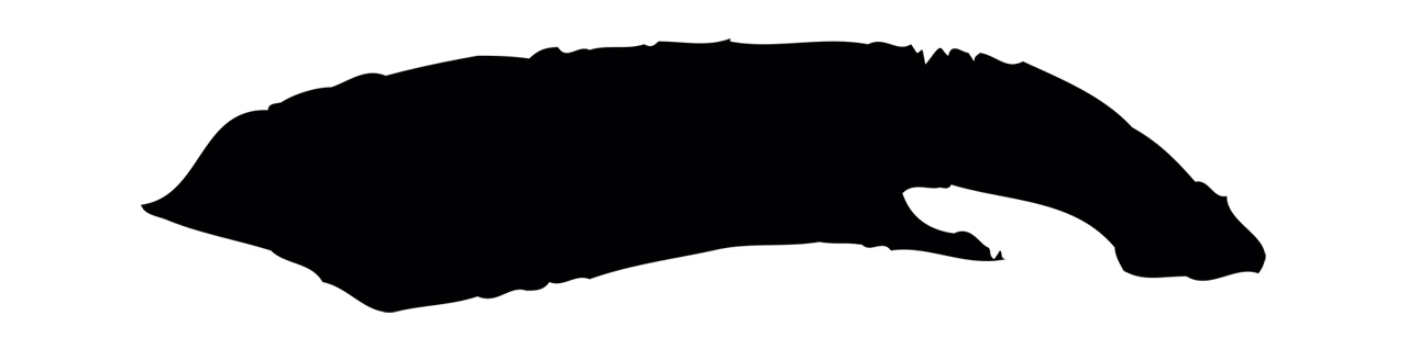 孙过庭「一」字书法图片