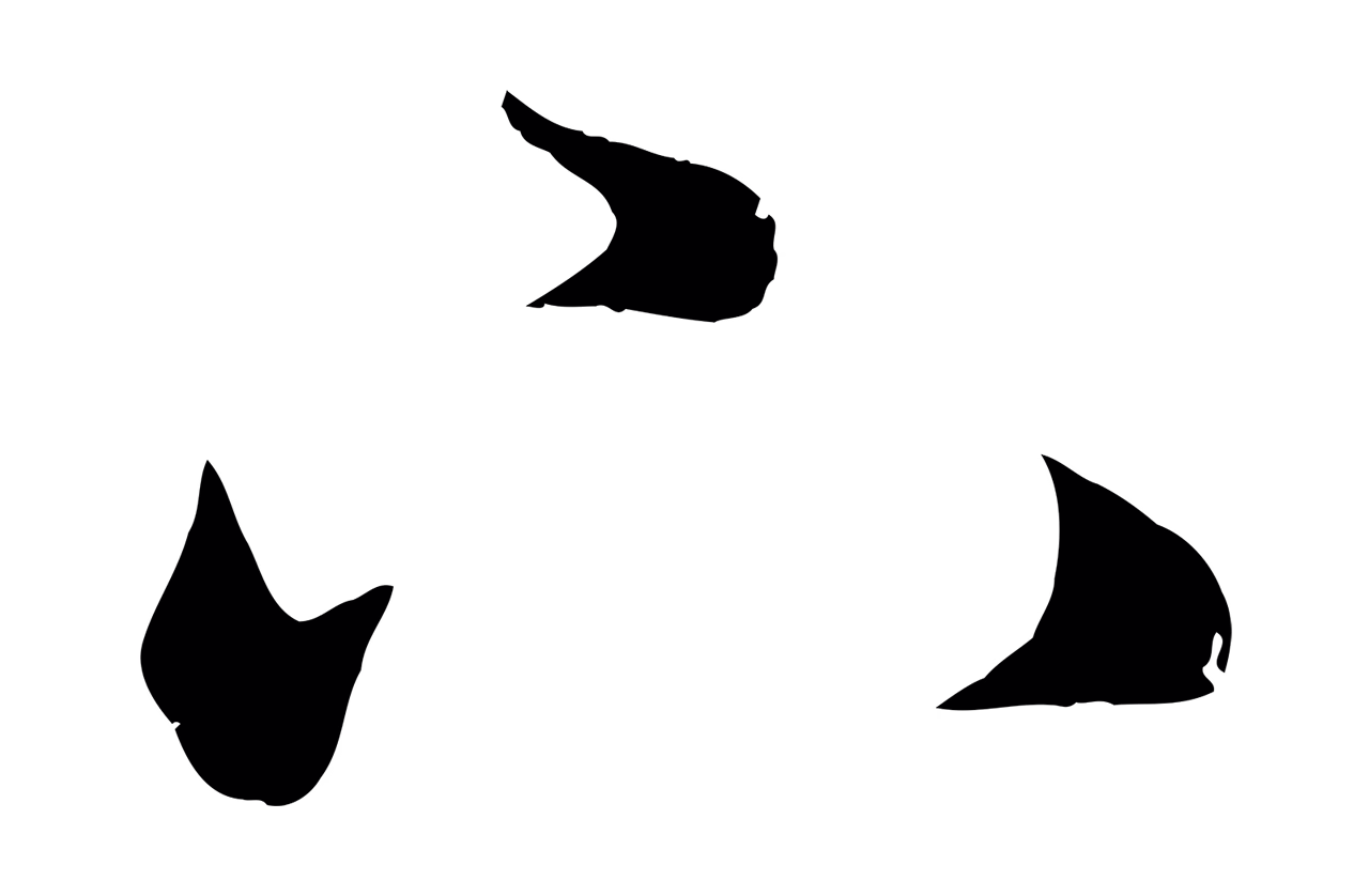 赵孟頫「下」字书法图片