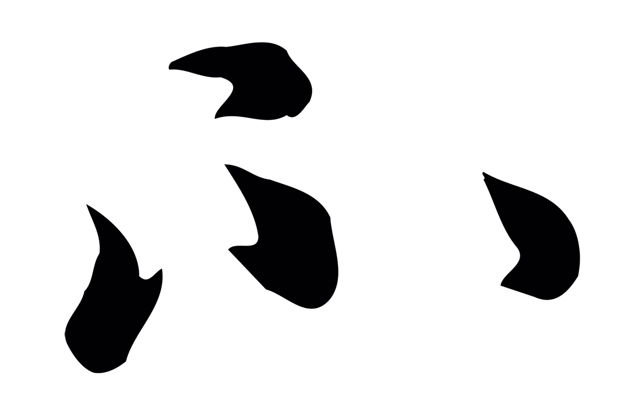 赵孟頫「不」字书法图片