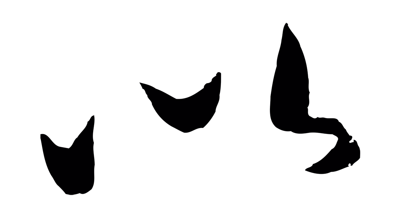 饶介「以」字书法图片