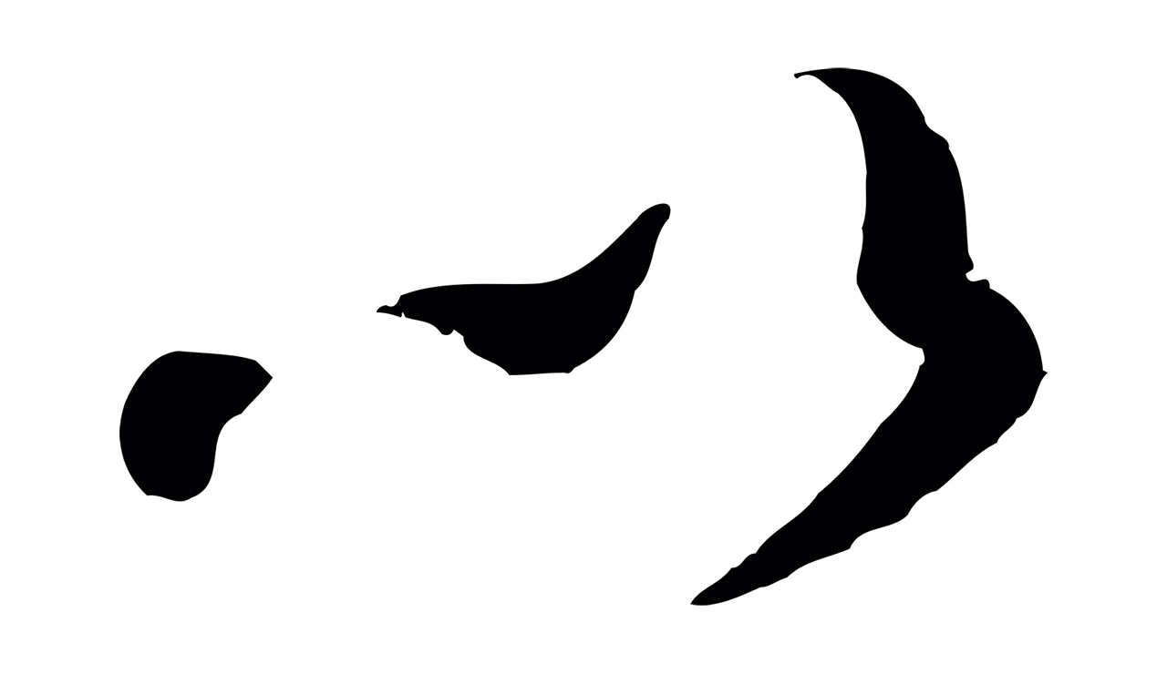 饶介「以」字书法图片