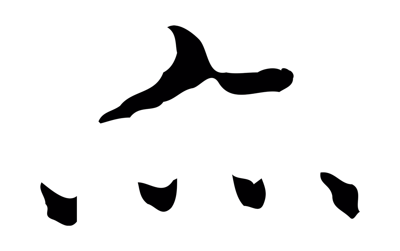 文徵明「亦」字书法图片