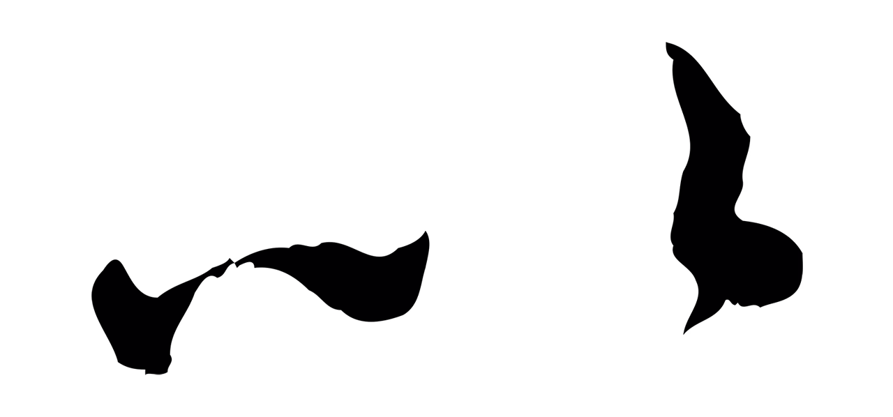 赵孟頫「以」字书法图片