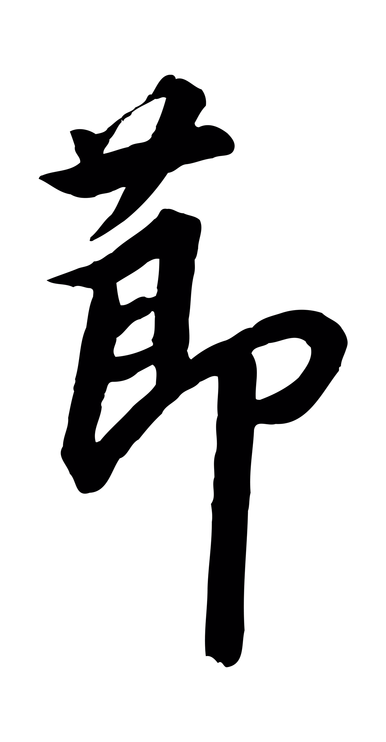 赵构「節」字书法图片
