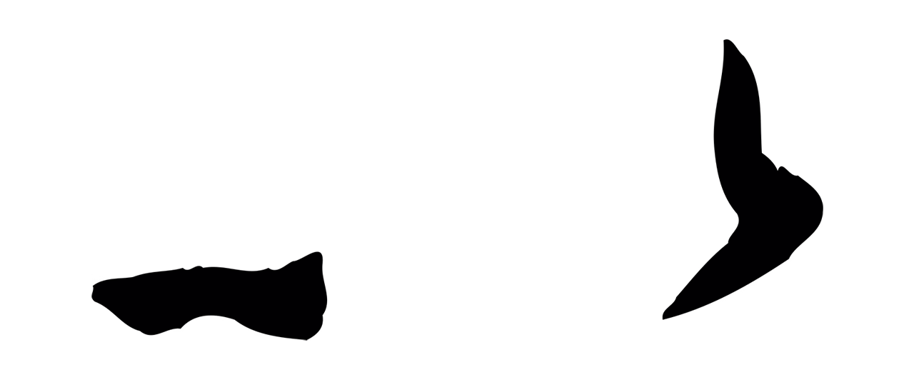 赵孟頫「以」字书法图片