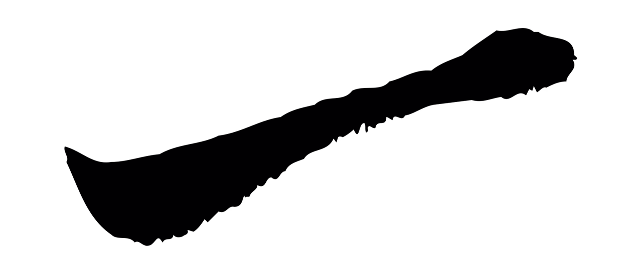 赵孟頫「一」字书法图片