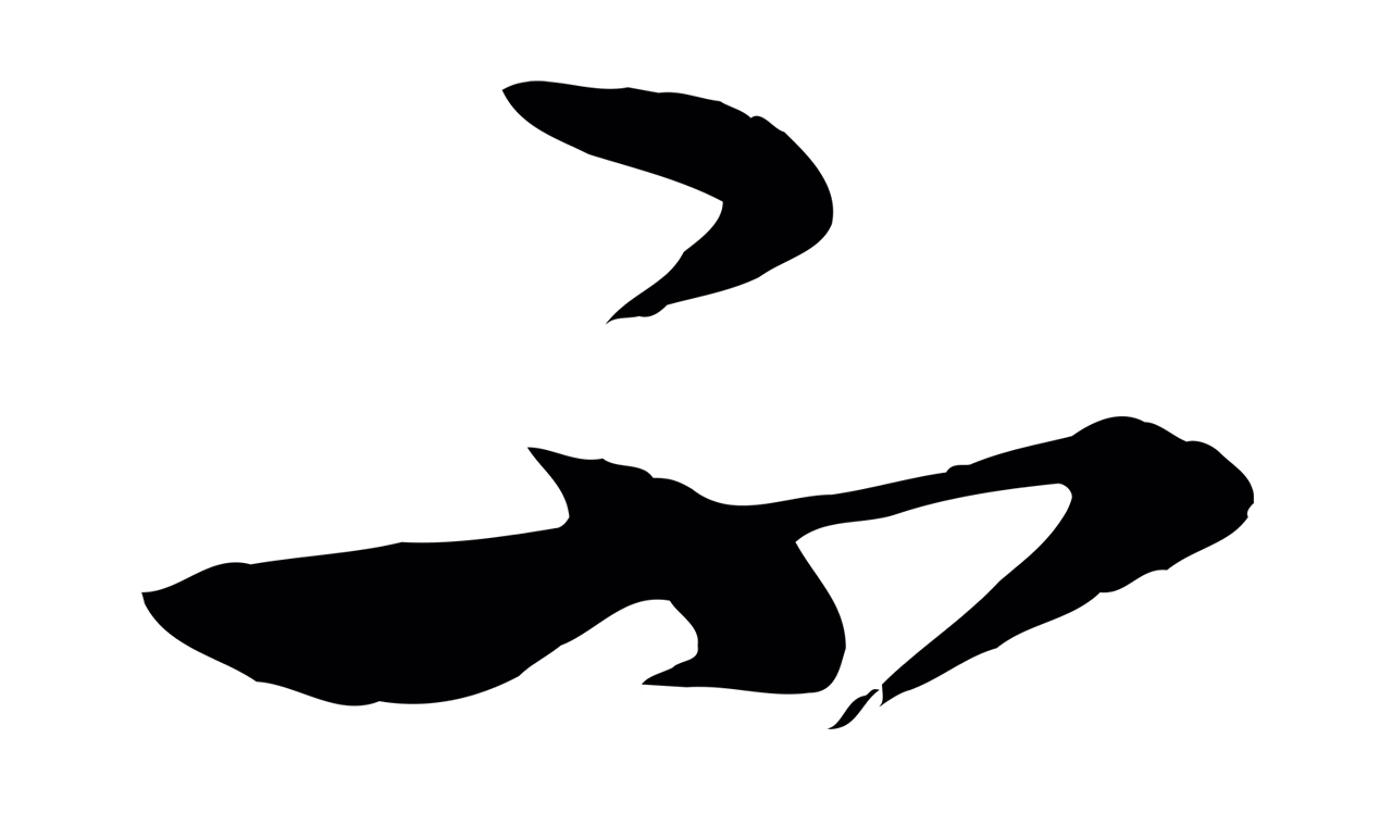 张凤翼「不」字书法图片