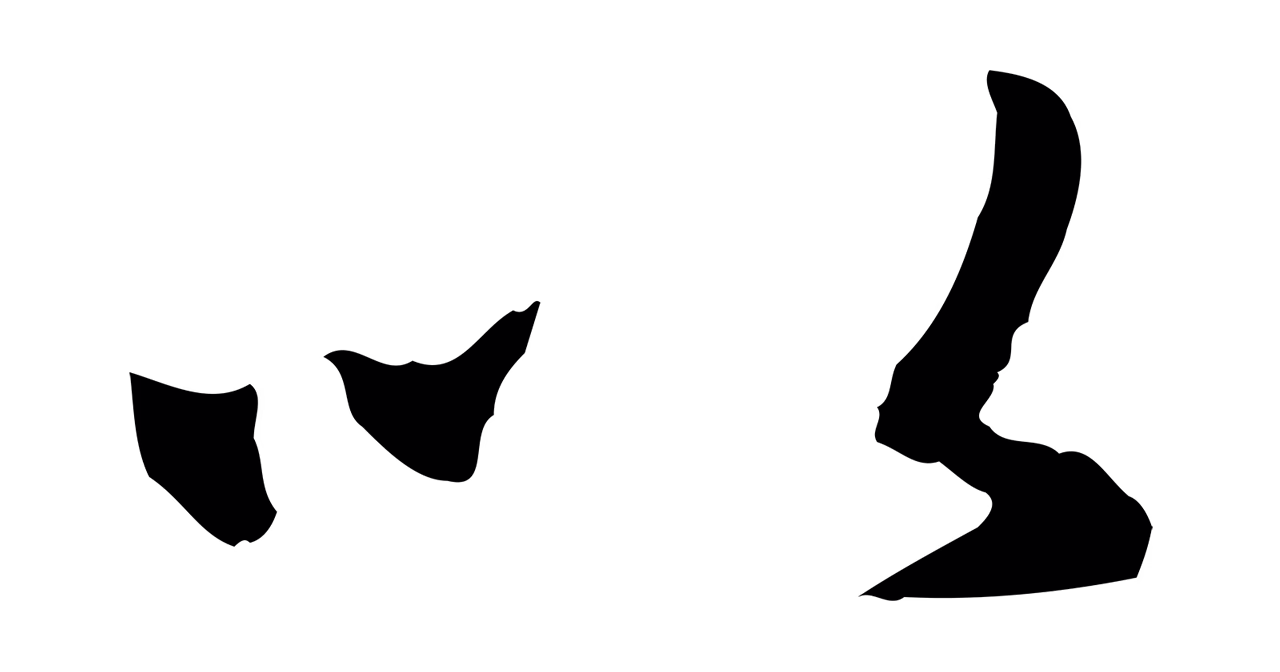 赵孟頫「以」字书法图片