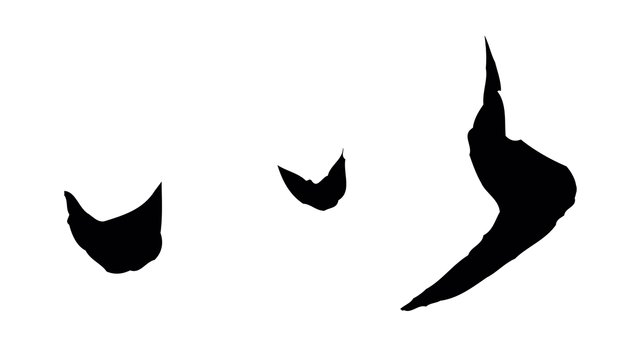 饶介「以」字书法图片