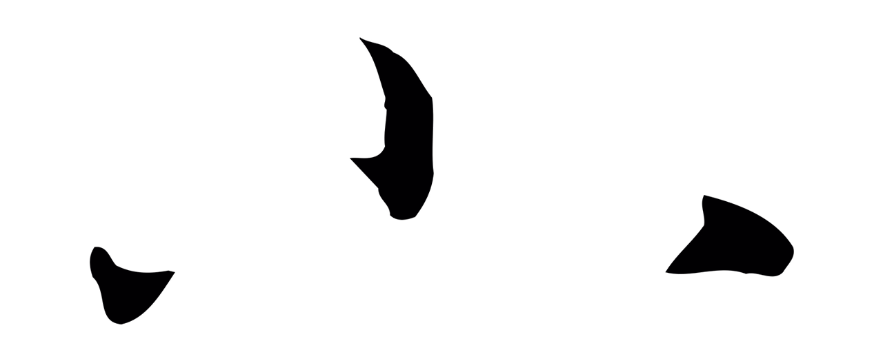 孙过庭「小」字书法图片