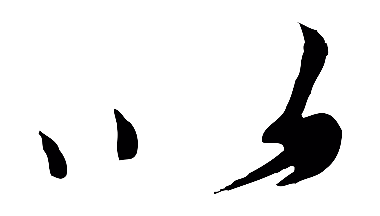 张雨「以」字书法图片