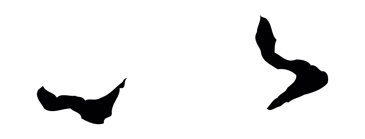 赵孟頫「以」字书法图片