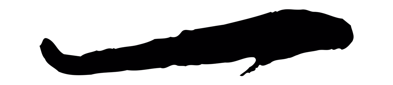 赵孟頫「一」字书法图片
