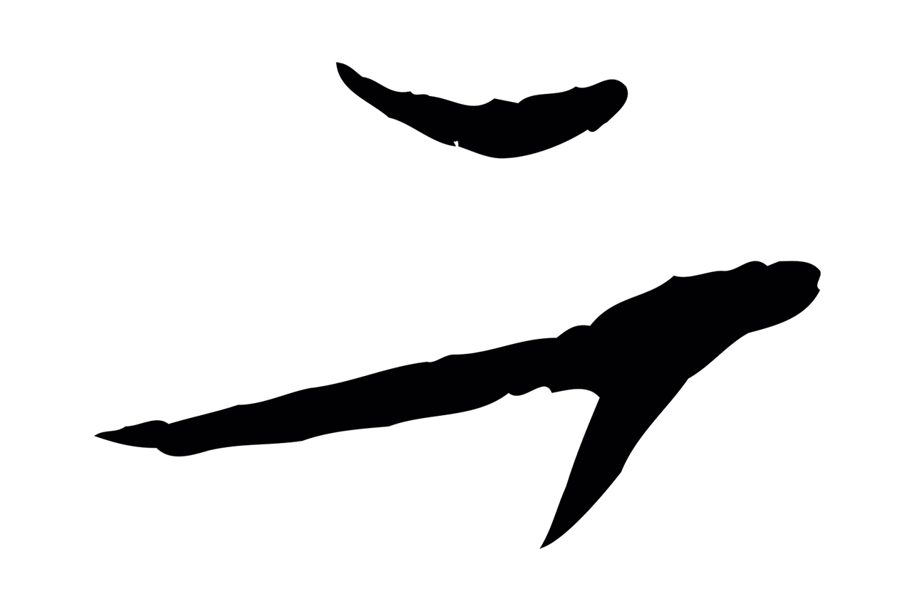 苏轼「二」字书法图片