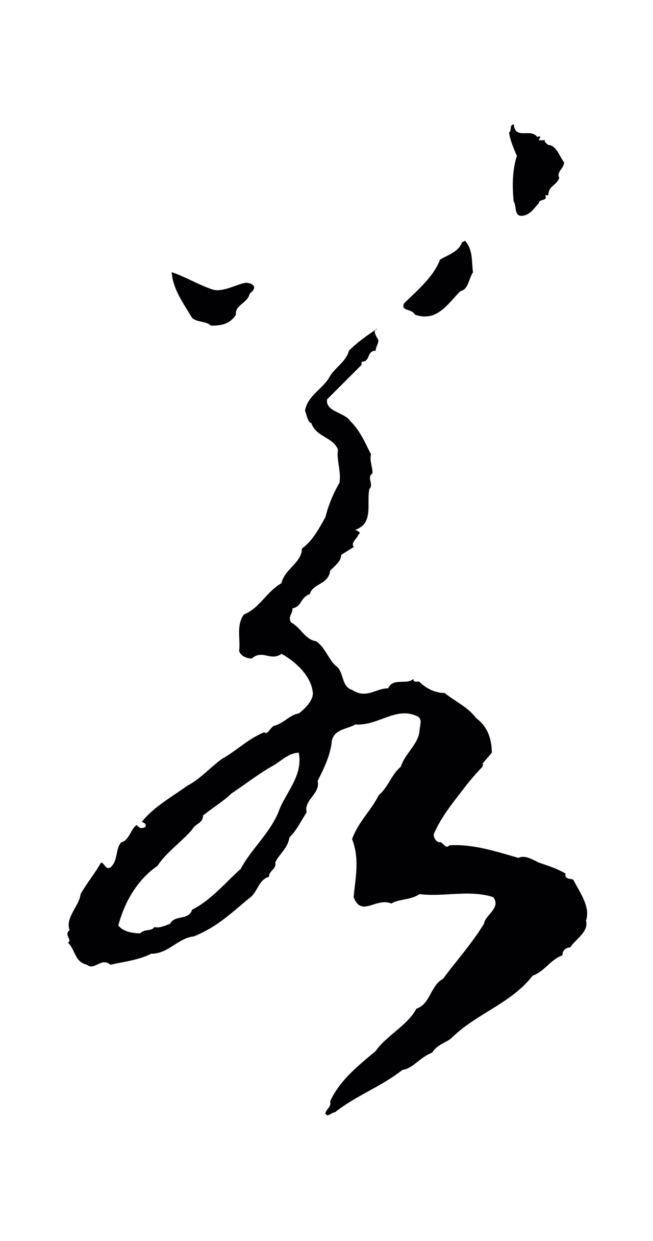 赵构「若」字书法图片
