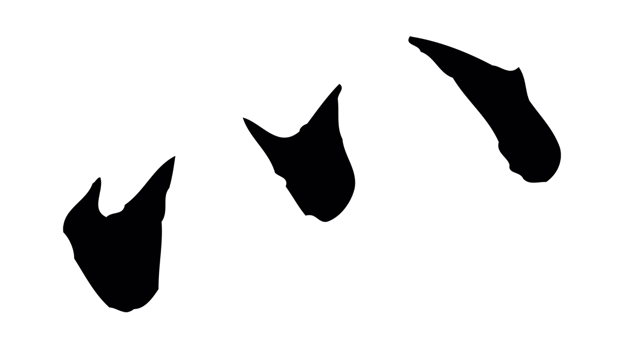 张即之「以」字书法图片