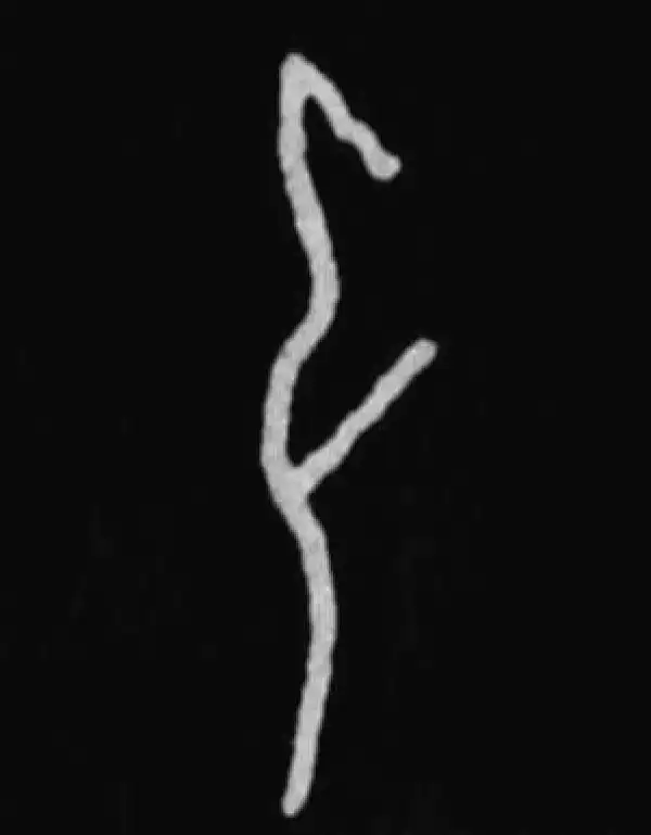 弘字篆书书法大全- 书法字典- 集古作网