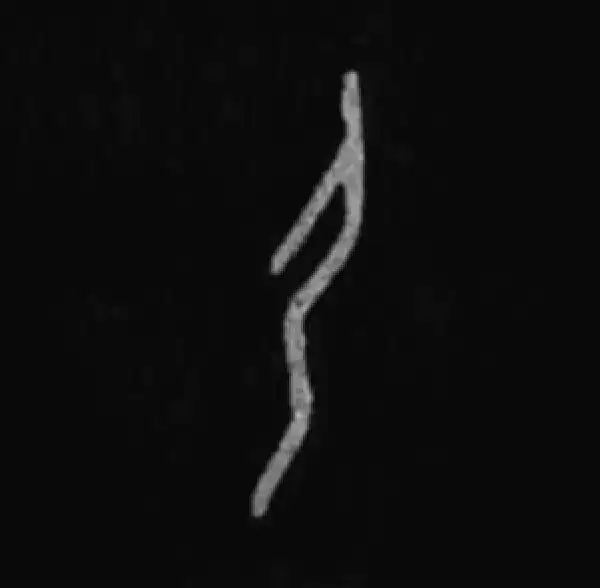 篆書 Amazon.com: 篆书速写四千字: 9787539483917: 龚明、戴少明, 新华书店