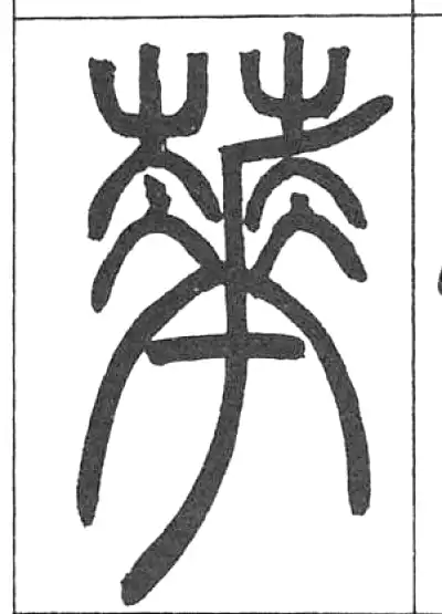 篆刻 花 梅の花 花 古獣 美品 高級印材 篆刻 印石 雲南
