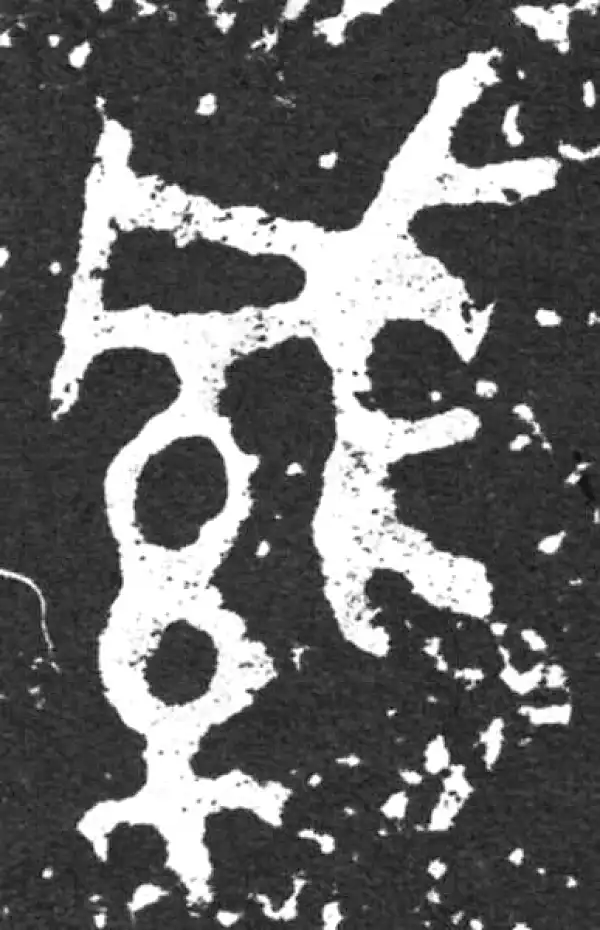 緘字篆书书法大全- 书法字典- 集古作网